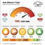 Насіння конопель Auto Mokum’s Tulip® від Dutch Passion
